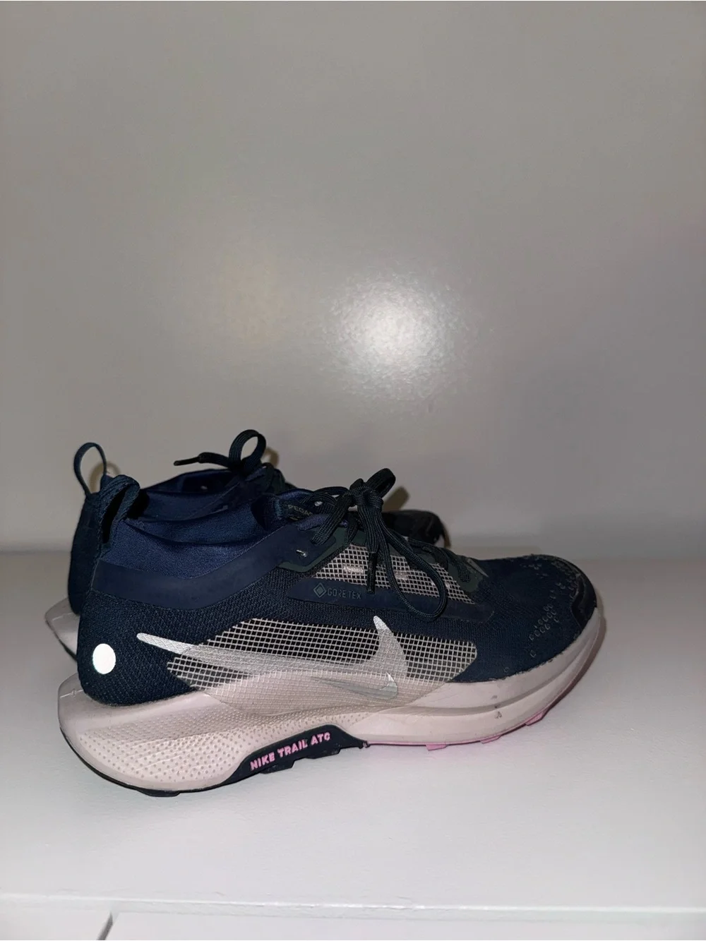 Nike Dark Gore-Tex Trail Shoes